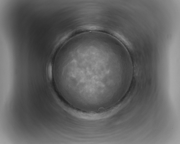 X0000114670014200910211159