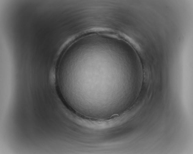 X0000114670015200910211159