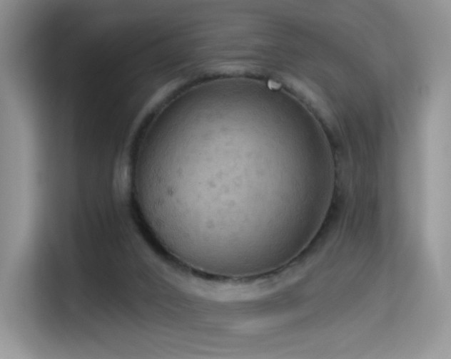 X0000114670016200910211159