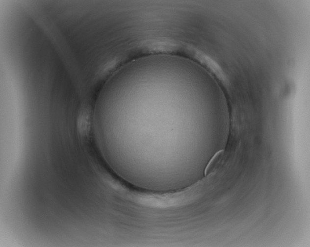 X0000114670017200910211159