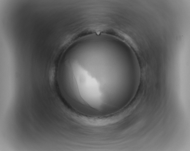 X0000114670018200910211159