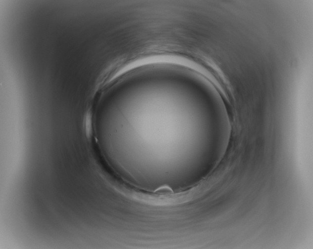 X0000114670019200910211159