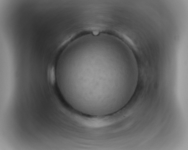 X0000114670020200910211159