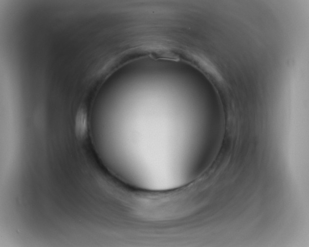 X0000114670021200910211159