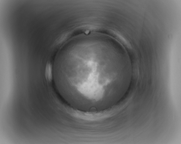 X0000114670022200910211159