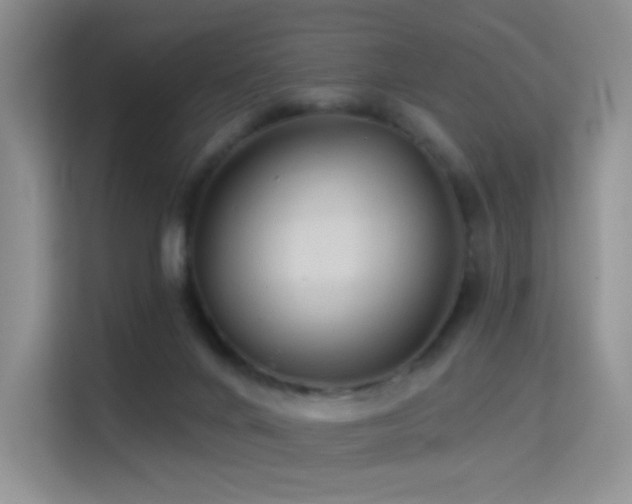 X0000114670024200910211159