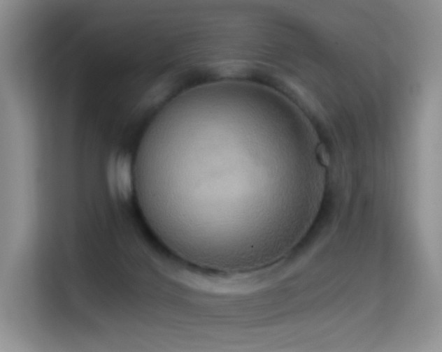 X0000114670028200910211159