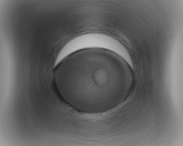 X0000114670029200910211159