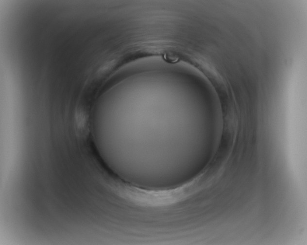 X0000114670031200910211159