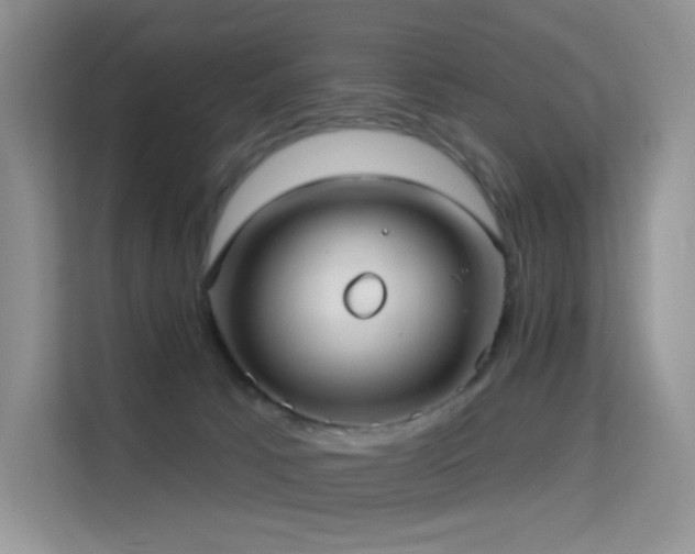 X0000114670033200910211159