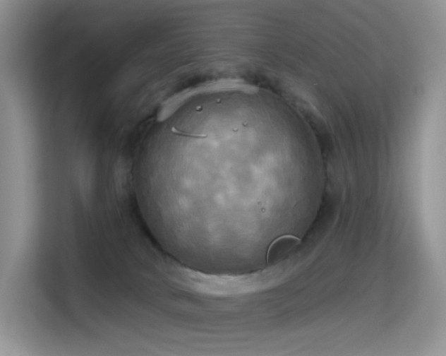 X0000114670034200910211159