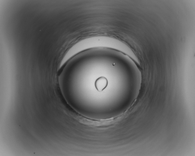 X0000114670035200910211159