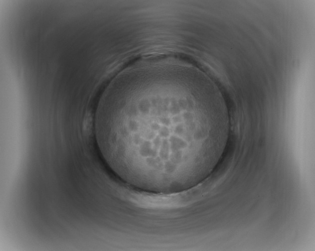 X0000114670036200910211159