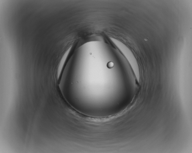 X0000114670037200910211159