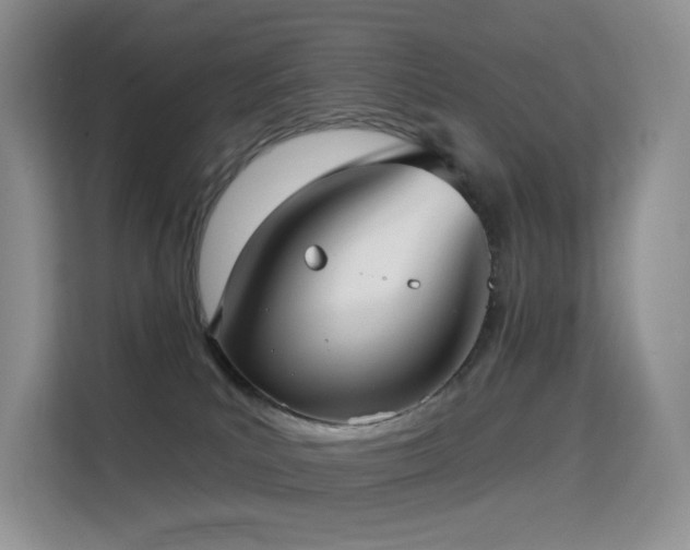 X0000114670039200910211159