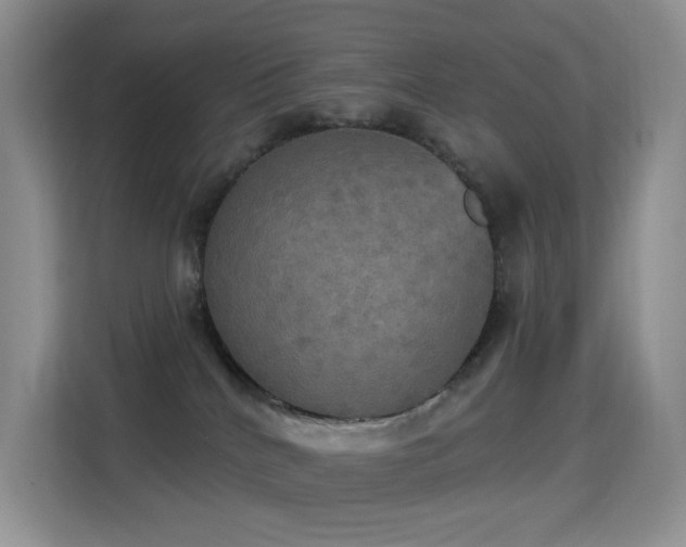 X0000114670040200910211159