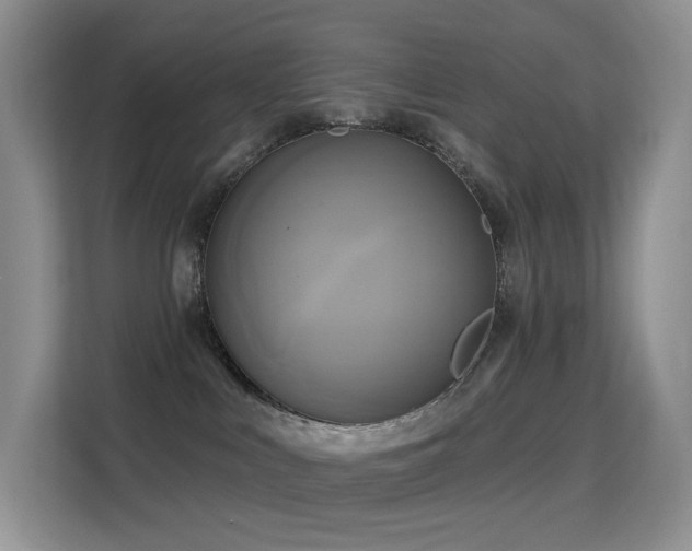 X0000114670043200910211159