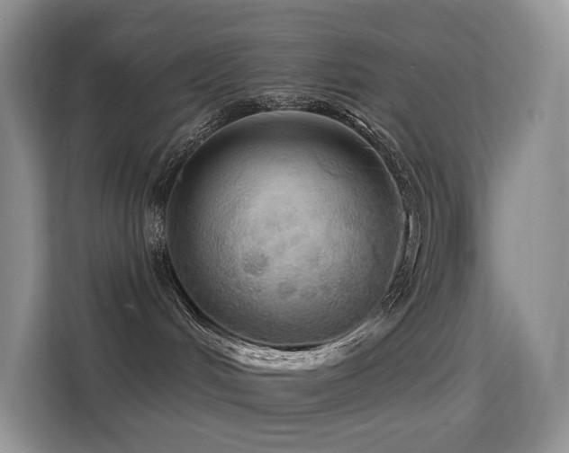 X0000114670048200910211159