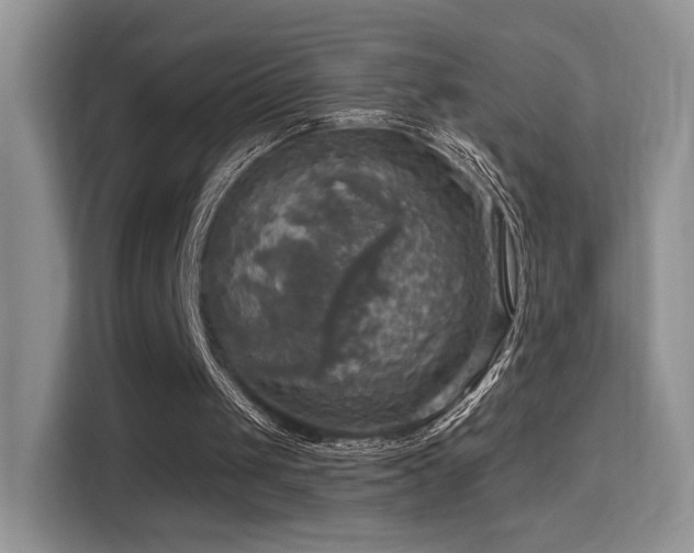 X0000114670049200910211158