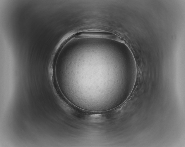 X0000114670054200910211158