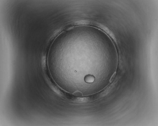 X0000114670057200910211158