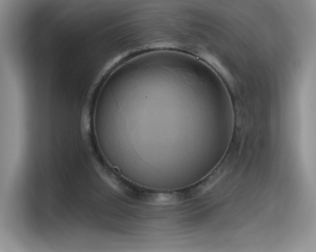 X0000114670060200910211158