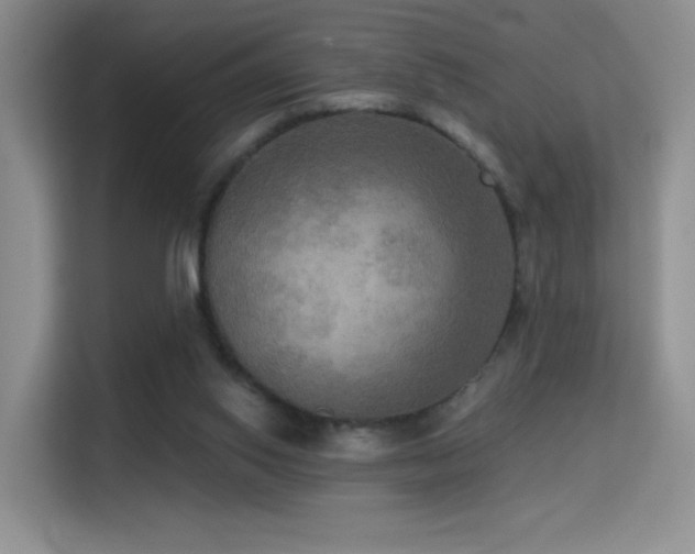 X0000114670062200910211158