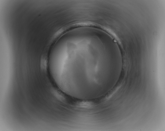 X0000114670063200910211158