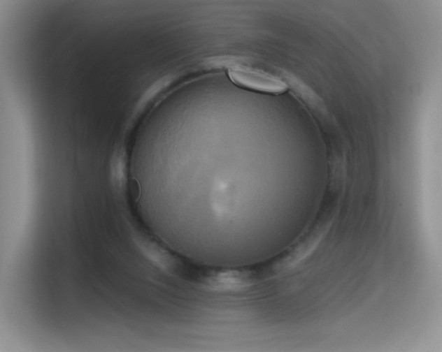 X0000114670064200910211158