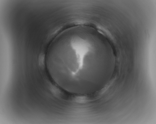 X0000114670066200910211158