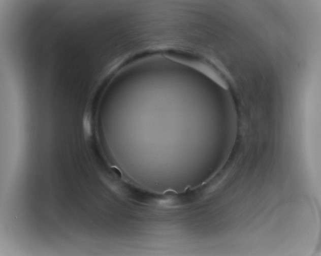 X0000114670068200910211158