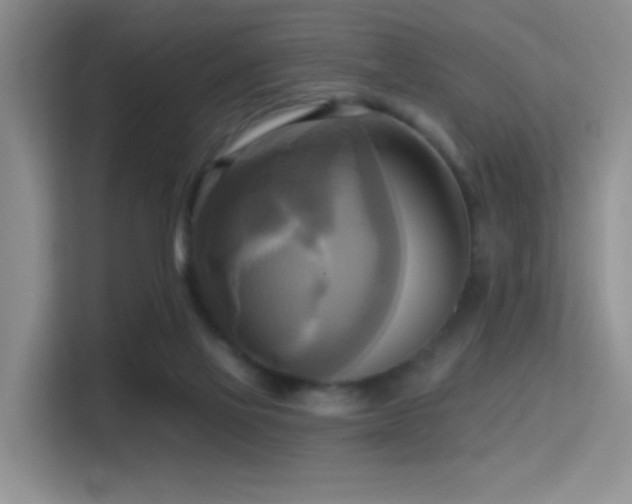 X0000114670069200910211158