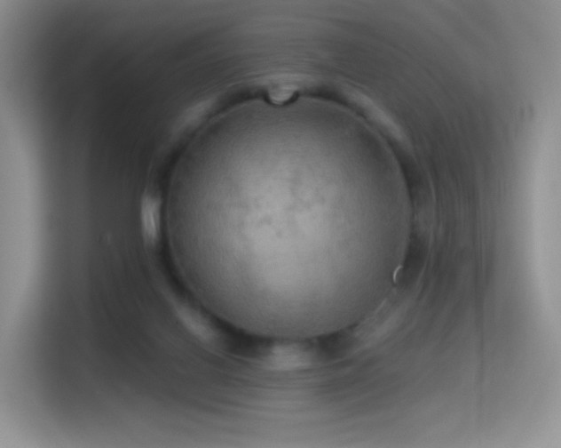 X0000114670070200910211158