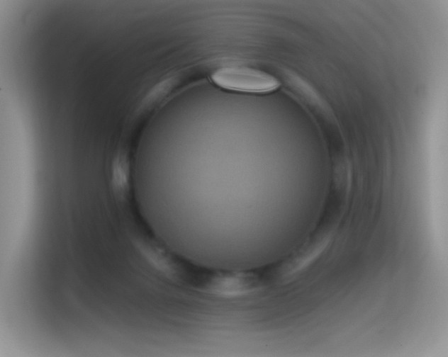 X0000114670072200910211158