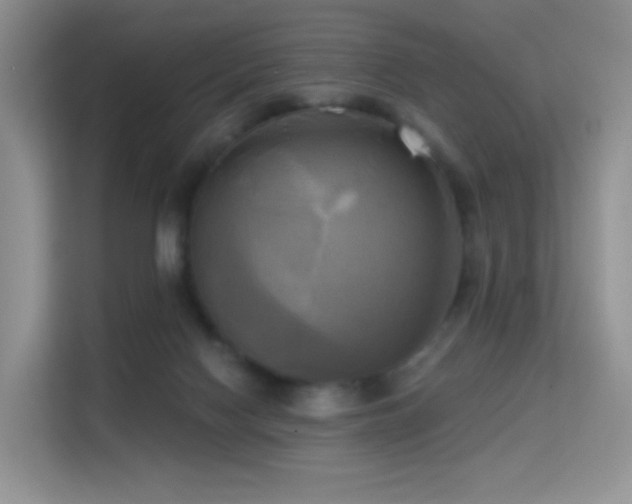 X0000114670074200910211158