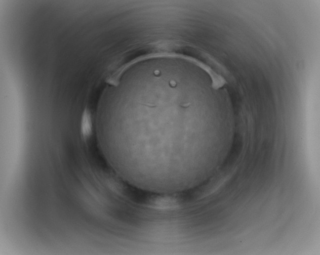 X0000114670075200910211159