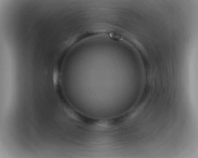 X0000114670076200910211159