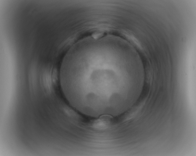 X0000114670077200910211159