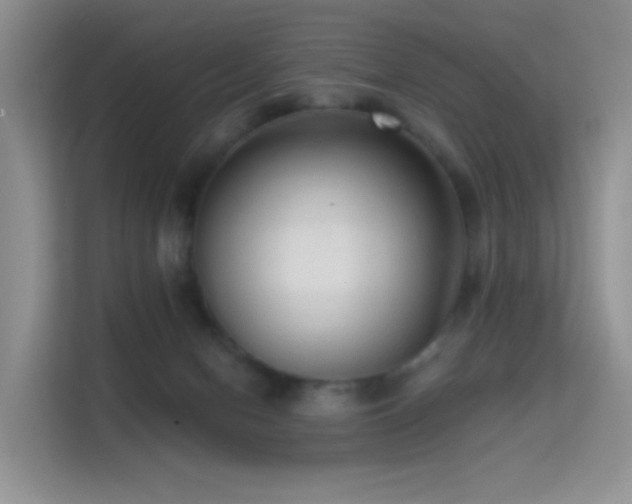 X0000114670078200910211159