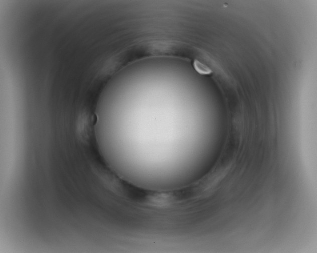 X0000114670079200910211159