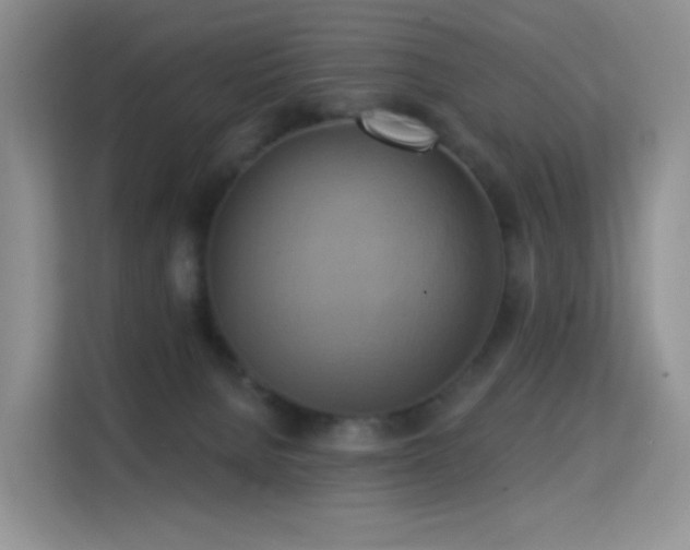 X0000114670080200910211159