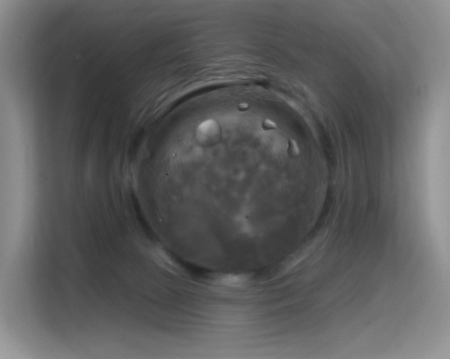 X0000114670081200910211159