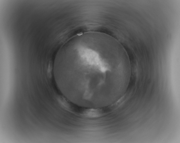 X0000114670082200910211159