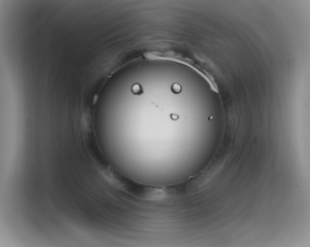 X0000114670083200910211159