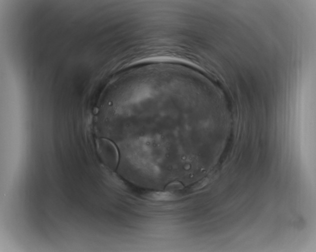 X0000114670085200910211159