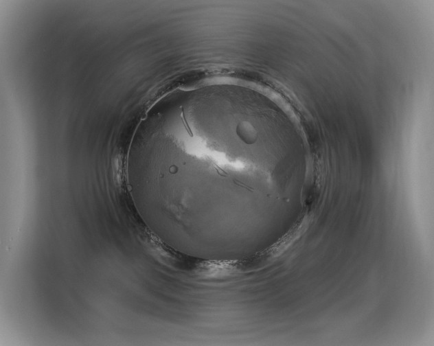 X0000114670093200910211159