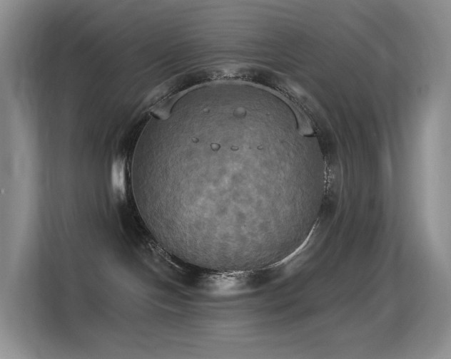 X0000114670094200910211159