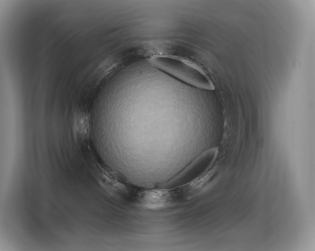 X0000114670096200910211159