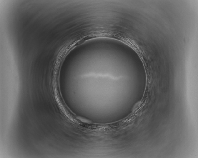 X0000114670097200910211158