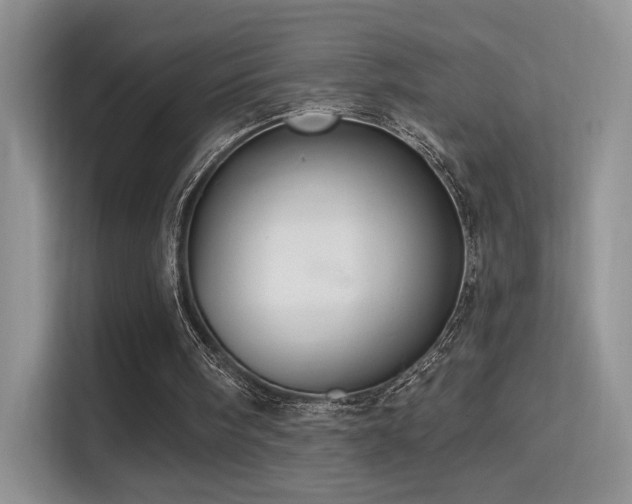 X0000114670098200910211158